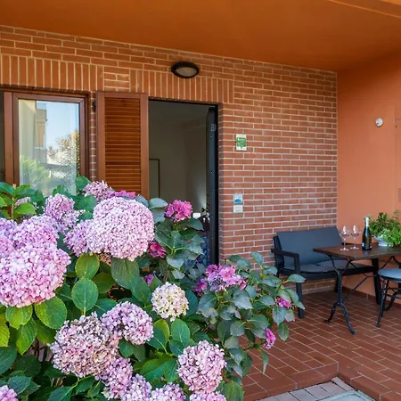 Apartment Le Ortensie Arezzo